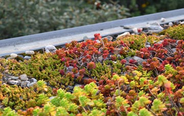 the cost of Gratwich green roof installation