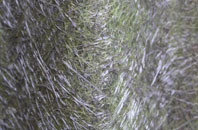 Gratwich fibreglass roof work